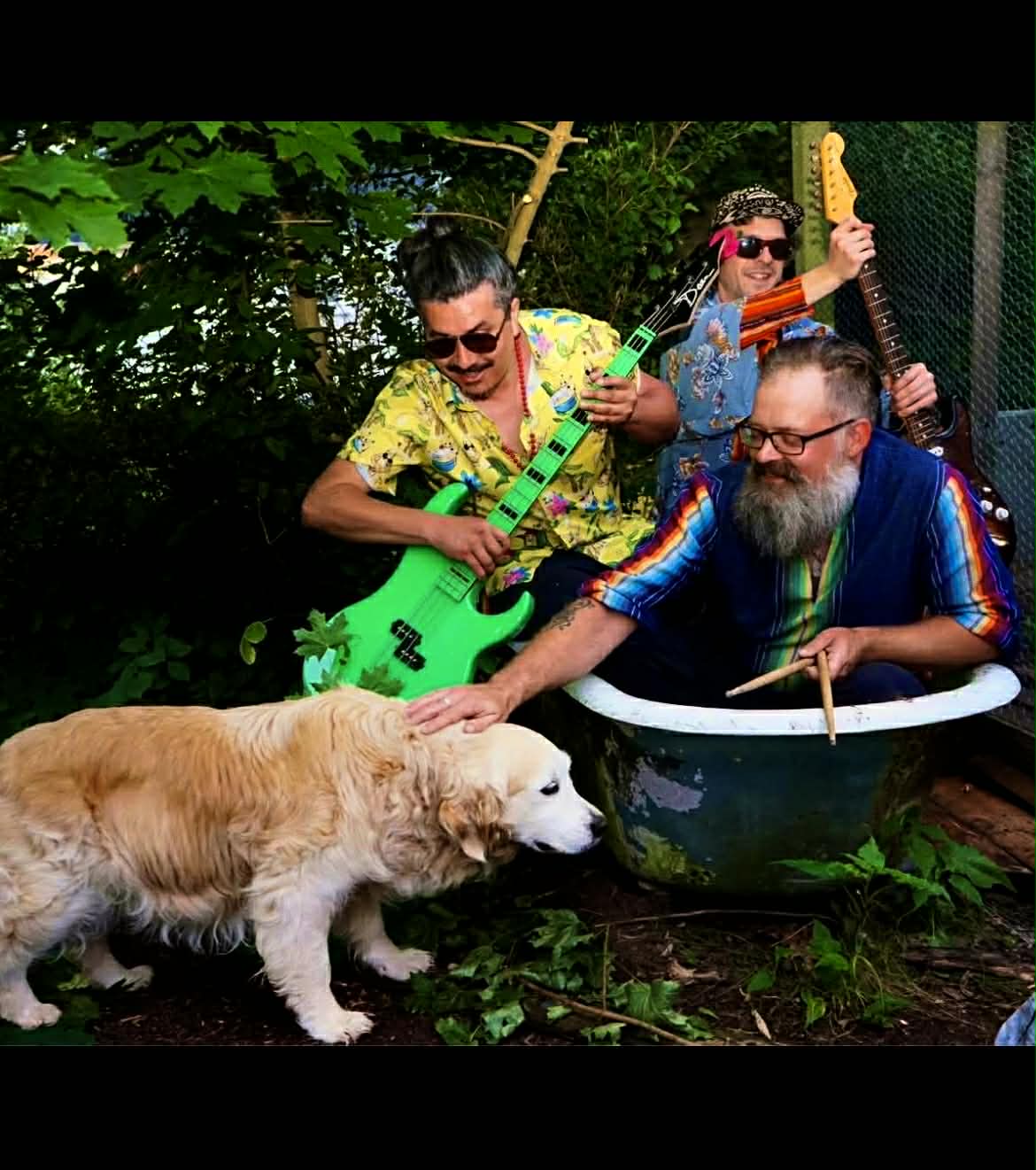 Mustard Groove performing live